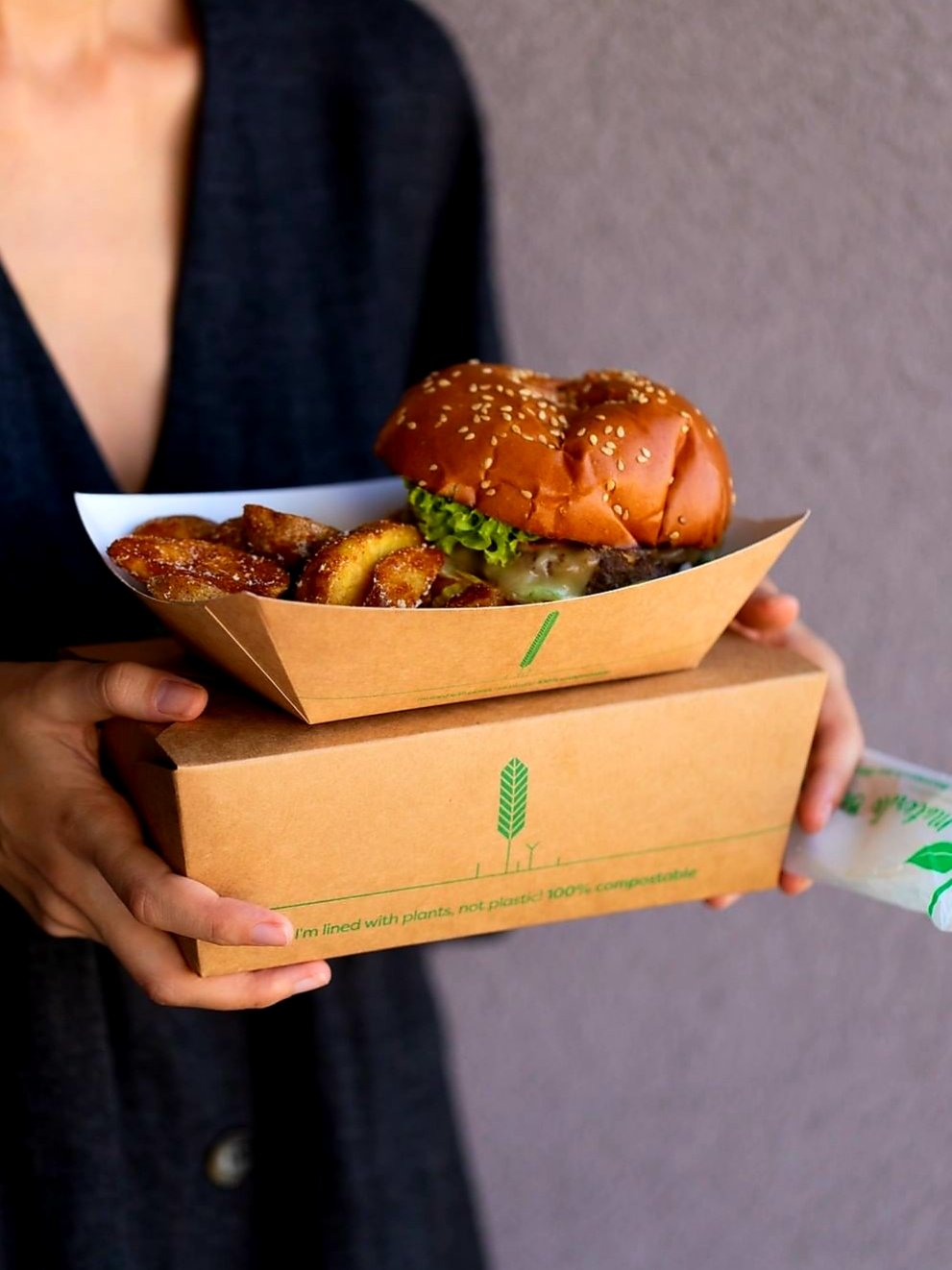 Envase Take Away 2800ml (20x14x9cm) - Pollo Frito / Asado