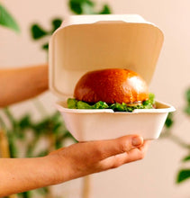 Load image into Gallery viewer, Hamburger Sugar Cane Container 15x15x7.7cm - 500ml
