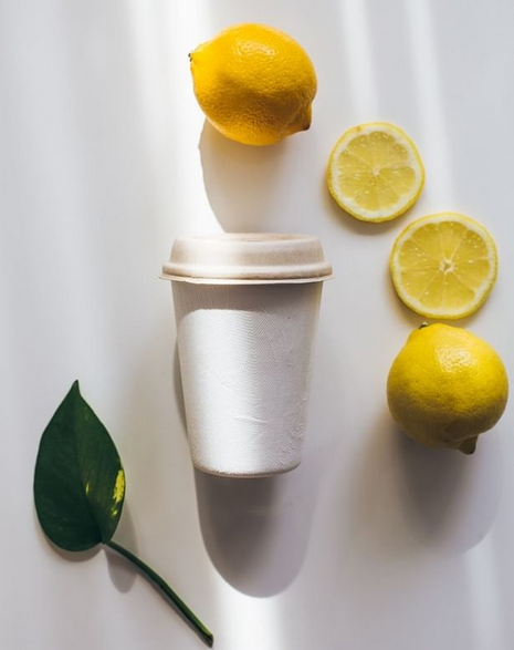 Vasos Blancos Compostables 480ml (16oz)